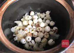Illustration of how to make red date, lotus seed and white fungus soup 4