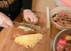 Shepherd's purse and pork dumplings - dragon fruit noodles recipe 4