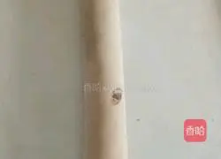 Illustration of how to make brown sugar blossom steamed buns 3