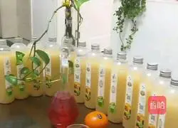 Pineapple and Dragon Fruit Enzyme Recipe Illustration 5