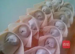 Illustration of how to make wonton 7