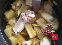 Illustration of braised pork ribs 3