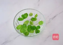 Illustration of how to make lemon mint water 2