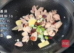 Illustration of how to make large plate of chicken noodles 4