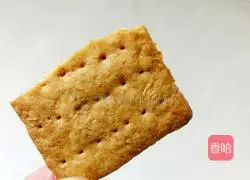 Whole wheat soda crackers recipe 15
