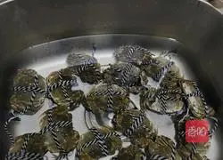 Illustration of Hairy Crab Recipes 3