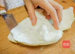 Honey Pomelo Sauce Recipe Illustration 3