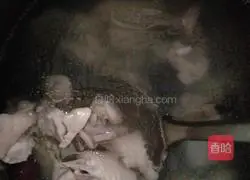 Illustration of how to make wonton 3