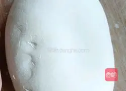 Illustration of how to make zygote with leeks 1