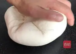 How to make a prosperous dog Illustration 4