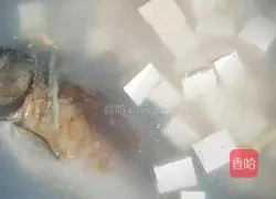 Wild carp tofu soup recipe 9