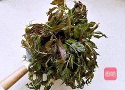 Chinese toon meat sauce noodles Practice illustration 2