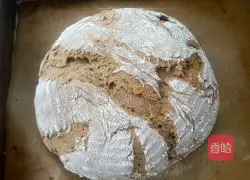 Daily Nut Rye Bread Recipe Illustration 15