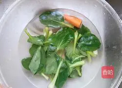 Illustration of stir-fried noodles 1