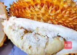 Fruit creative dishes + super nutritious durian chicken soup recipe 1