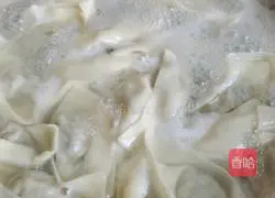 Illustration of how to make fennel and pork dumplings 12