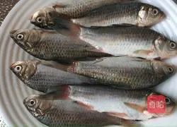 Wild crucian carp old tofu soup recipe 1