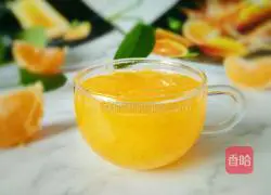 Orange juice recipe 9