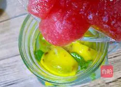 Watermelon Lemon Sparkling Drink Recipe Illustration 9