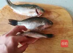 Illustration of how to make crucian carp tofu soup 1