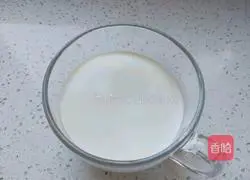 Mango Sago Recipe Illustration 5