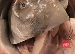 Doogun Fish & Carrot Fish Soup Recipe Illustration 1