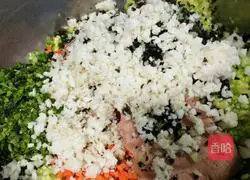 How to make Qinglian vegetarian dumplings (can be fried) 2