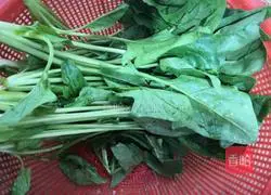 Spinach chicken cake recipe 2