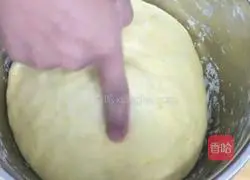 Pumpkin Bread Recipe Illustration 6