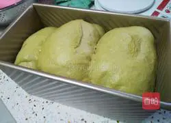 Matcha Cranberry Toast Recipe Illustration 15