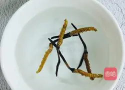 Guangdong~Cordyceps stew recipe 2