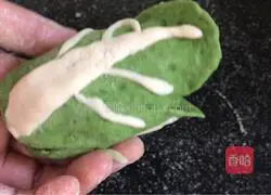 Illustration of how to make cabbage steamed buns 16