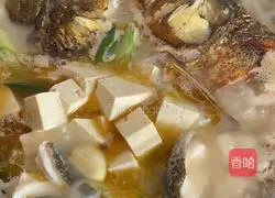 Illustration of how to make fish head and tofu soup 4