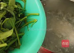 Illustration of water spinach and dumpling soup 7