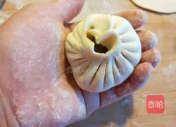 Xinwen Gourmet Pork and White Mushroom Buns Recipe Illustration 12