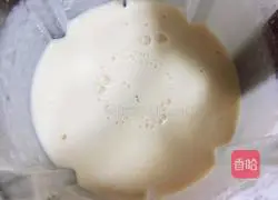 Durian Banana Milkshake Recipe Illustration 8