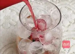 Passion Fruit Cranberry Drink Recipe Illustration 3