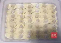 Illustration of how to make wontons 19