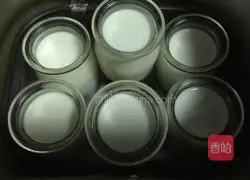 Illustration of how to make original yogurt 6