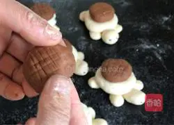 Illustration of how to make little turtle steamed buns 8