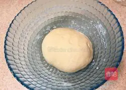 Illustration of how to make tomato scissor noodles with oil splash 6