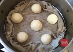 Illustration of how to make steamed buns 5