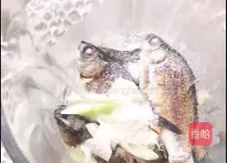 Wild crucian carp tofu soup recipe 9