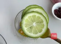 Cranberry Lime Sparkling Water Recipe Illustration 3