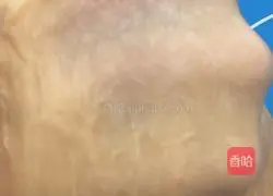 Illustration of how to make bacon, chive and shredded buns 3