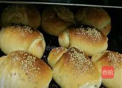 Honey sesame buns recipe 16