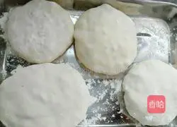 Illustration of making fungus and cabbage pancakes 20