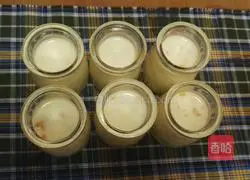 Mango Pudding Recipe Illustration 7