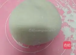 Illustration of homemade wonton stew 3