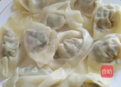 Illustration of how to make fennel and pork dumplings 14